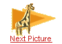 next picture